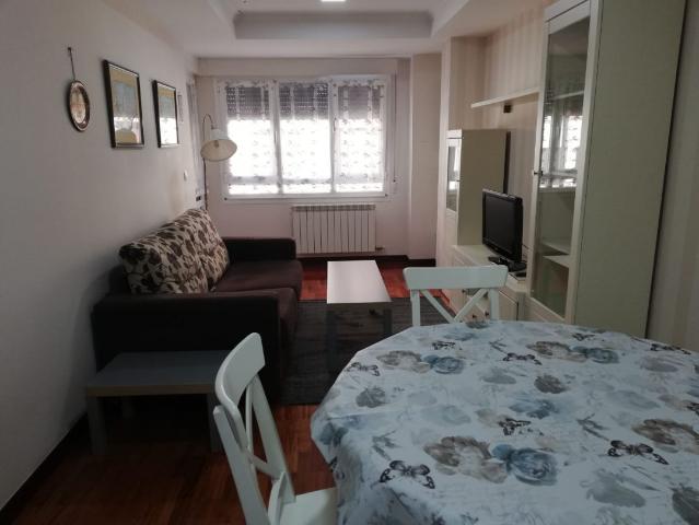 APARTAMENTO EN VILLARCAYO EN ALQUILER