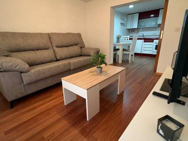 Apartamento en alquiler temporal en Plaza Vega San Pedro de Cardeña 09002