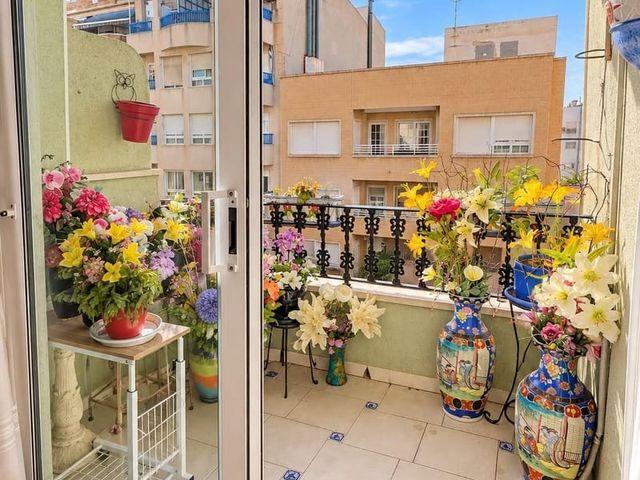 Apartamento en alquiler en Torrevieja, Alicante Costa Blanca