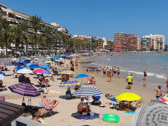 Apartamento en alquiler en Torrevieja, Alicante Costa Blanca