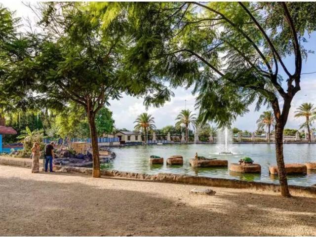 Apartamento en Alquiler en Torrevieja, Alicante