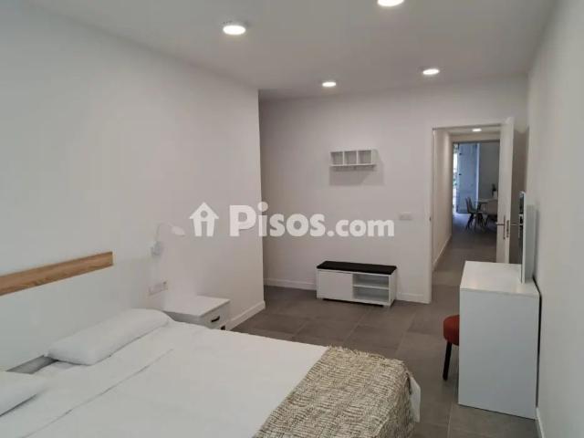 Apartamento en alquiler en Zona Centro