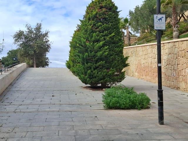 Apartamento en alquiler en Alicante / Alacant, Alicante Costa Blanca