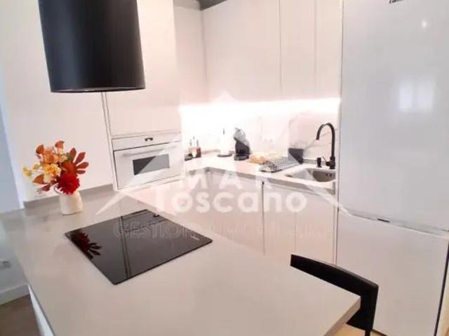 Apartamento en alquiler en Barrio de la Palmilla