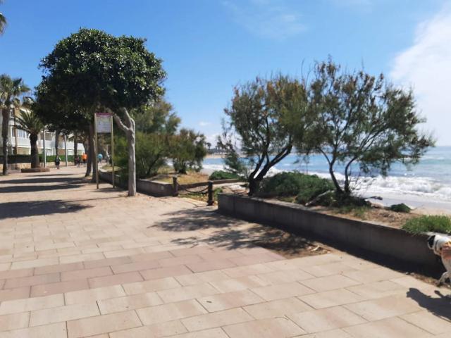 Apartamento en Alquiler en Cambrils Mediterrani