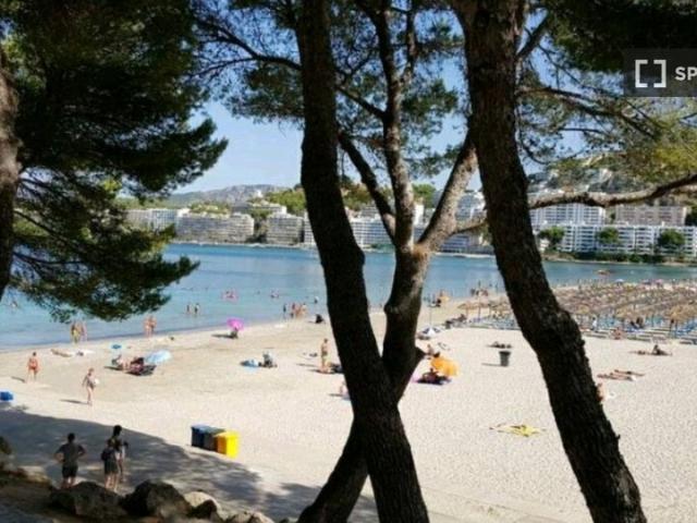 Apartamento en alquiler en Calvià