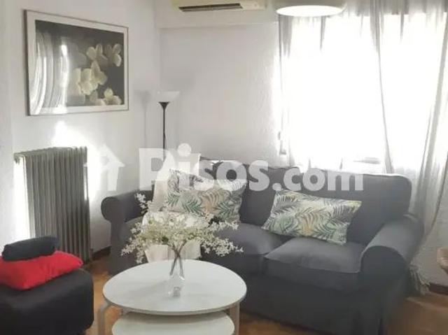 Apartamento en alquiler en Calle de Agustín Durán, 19