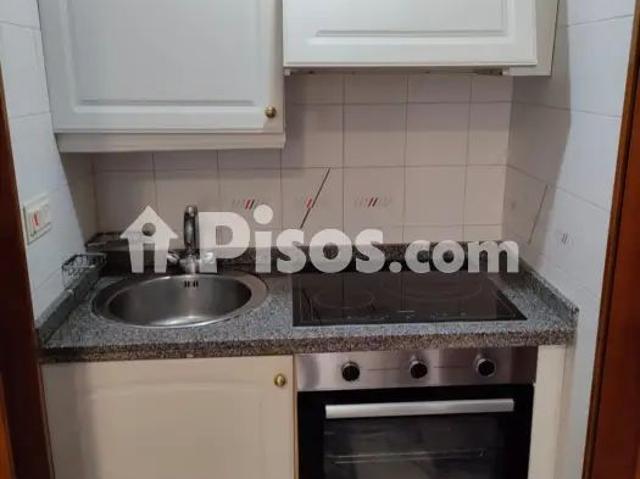Apartamento en alquiler en Calle de Francisco Vitoria