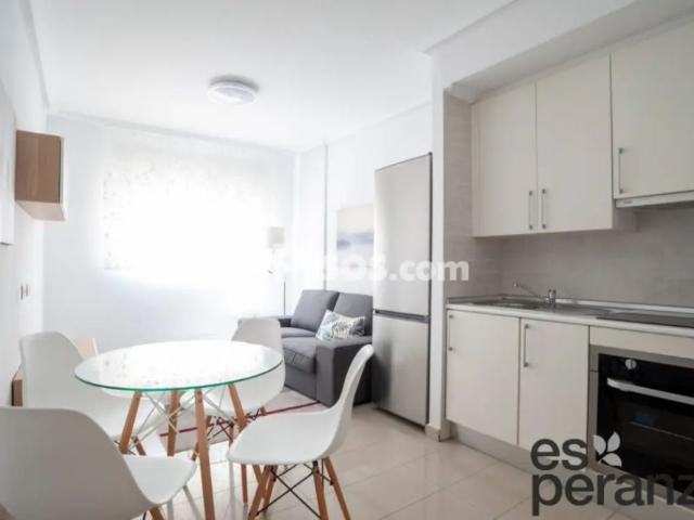 Apartamento en alquiler en Calle Embajador Inocencio Arias