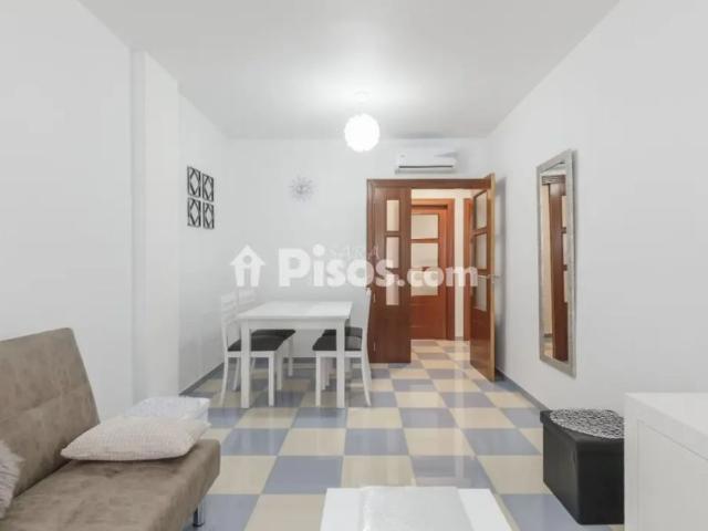 Apartamento en alquiler en Calle Hermanos Pinzón, 53