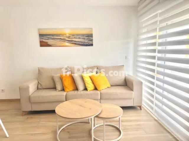 Apartamento en alquiler en Carrer de la Devesa, 3