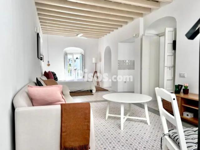 Apartamento en alquiler en Casco Antiguo