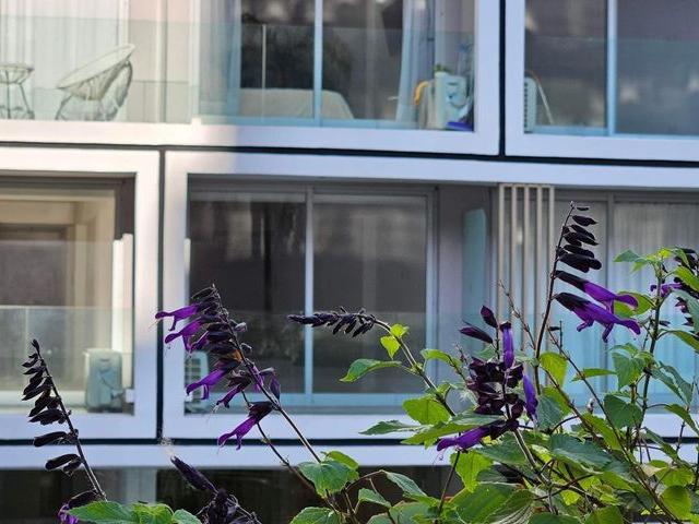 Apartamento en alquiler en Centro / Microcentro
