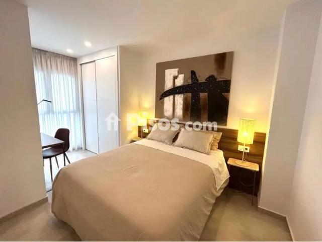 Apartamento en alquiler en Centro Tradicional