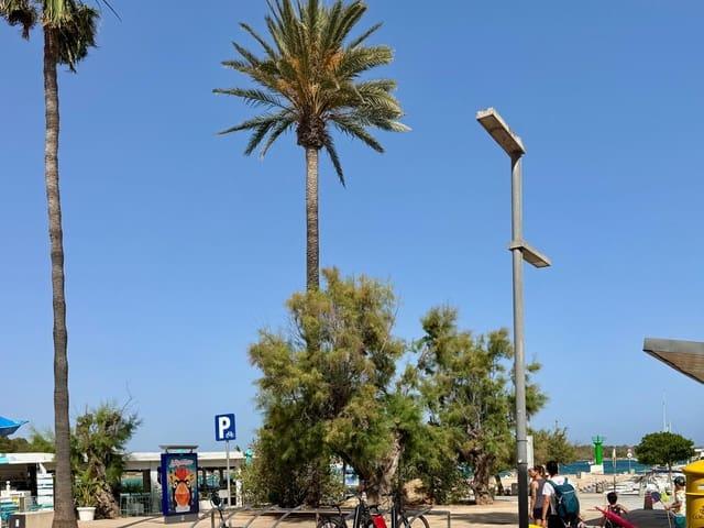 Apartamento en alquiler en Colonia de Sant Jordi, Mallorca