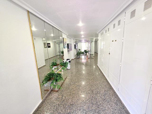 Apartamento en alquiler en Guardamar del Segura Alicante