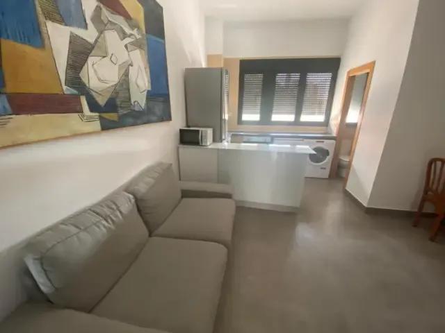 Apartamento en alquiler en La Viña San José