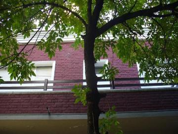Apartamento en alquiler en La Plata