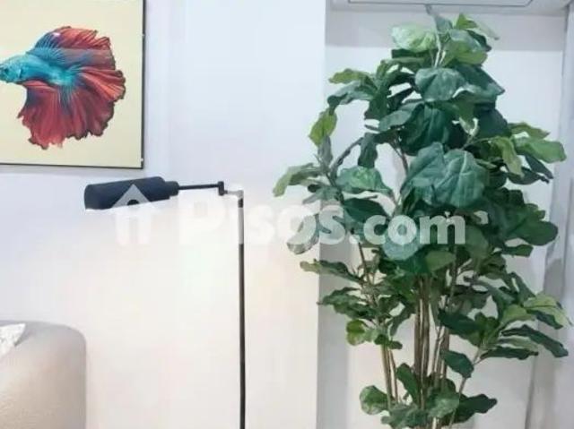 Apartamento en alquiler en los Cristianos