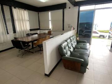 Apartamento en alquiler en Mar del Plata