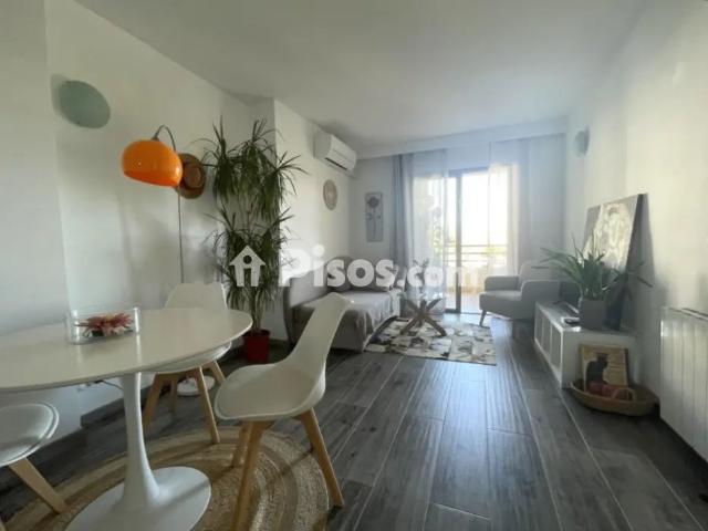 Apartamento en alquiler en Palmanova Son Caliu