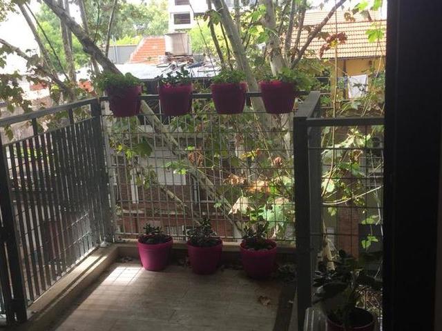 Apartamento en alquiler en Parque Chas