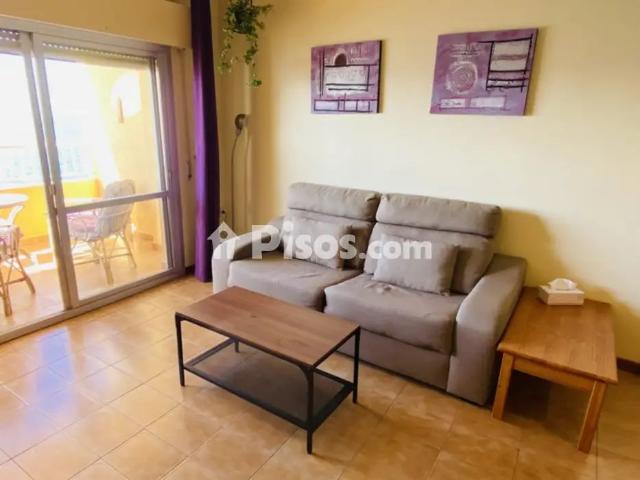 Apartamento en alquiler en Paseo de la Reina Sofía