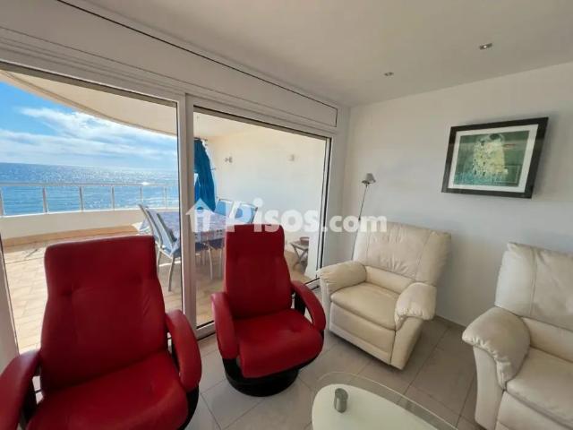Apartamento en alquiler en Passeig Marítim del President Josep Irla