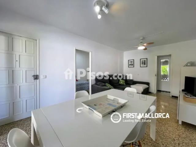 Apartamento en alquiler en Platja D'Alcúdia Port D'Alcúdia