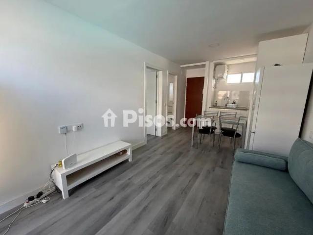 Apartamento en alquiler en Plaza de los Hibiscus, 2