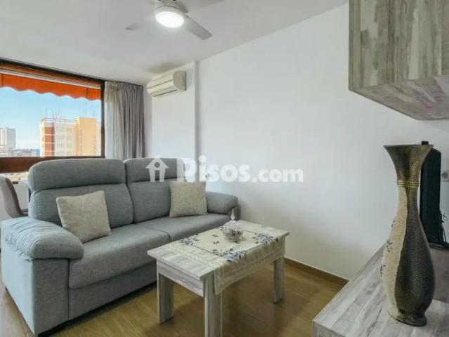Apartamento en alquiler en Rincon de Loix Cruz