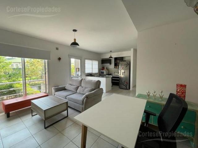 Apartamento en alquiler en Rincón de Milberg
