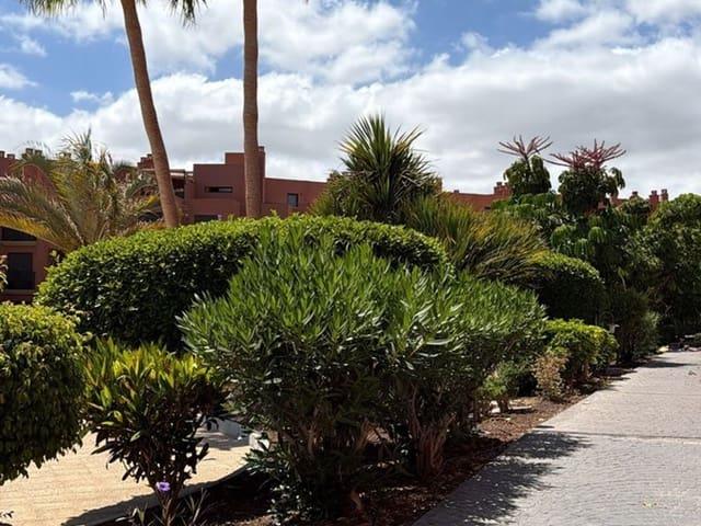 Apartamento en alquiler en Santa Cruz de Tenerife, Tenerife