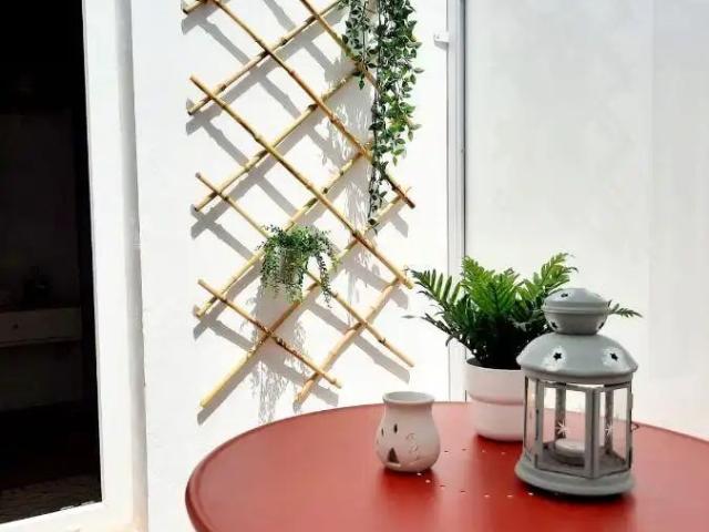 Apartamento en alquiler en Santiago Coronación