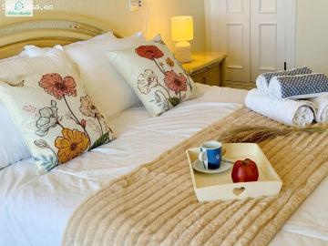 Apartamento en Alquiler en San Juan Playa, Alicante