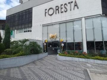 Apartamento en Arriendo, C r Foresta Calambeo Piso 10, Ibagué