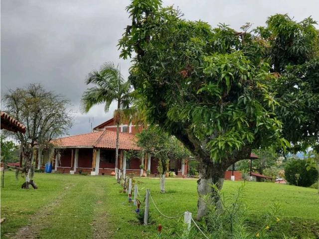 Apartamento en arriendo Centro, Pereira