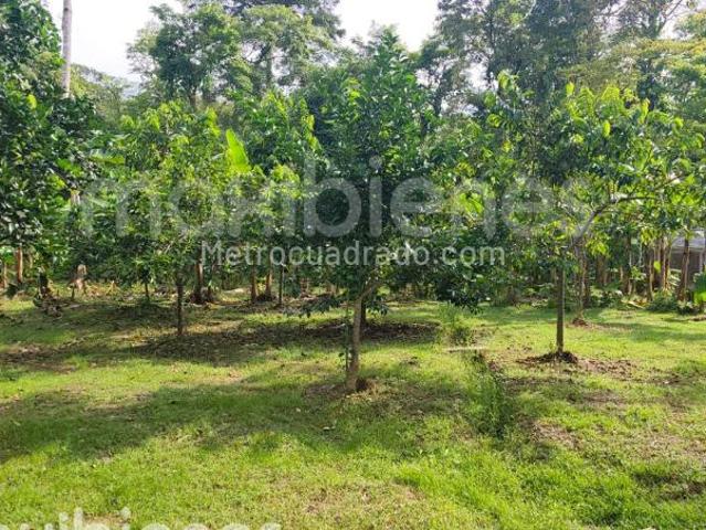 Apartamento en Arriendo, Chigorodo, Chigorodo