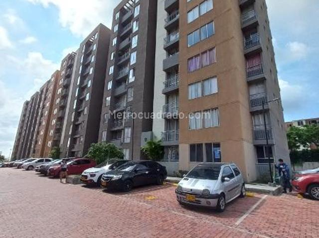 Apartamento en Arriendo, Conjunto Residencial Terra Piso 9, Ibagué