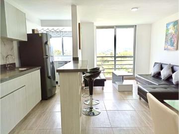 Apartamento en arriendo Conjunto Residencial Coinca, Norte