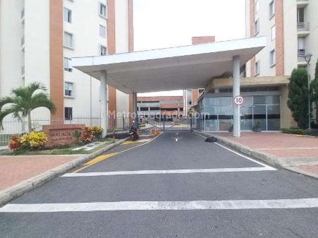 Apartamento en Arriendo, Conjunto Residencial Malaca Piso 7, Ibagué