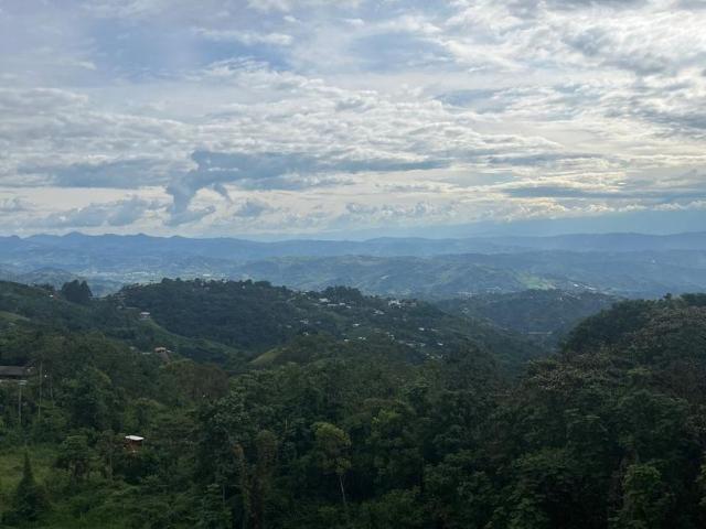 Apartamento en arriendo El Bosque, Manizales