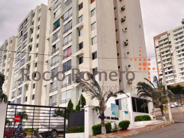 Apartamento en arriendo en variante la floresta