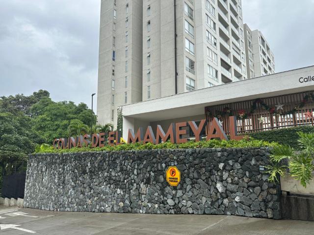 Apartamento En Arriendo En Cali En Bellavista A191005