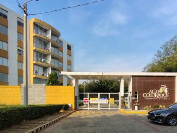 Apartamento EN ARRIENDO EN Los Patios EN Los Colorados 348485 $1.500.000