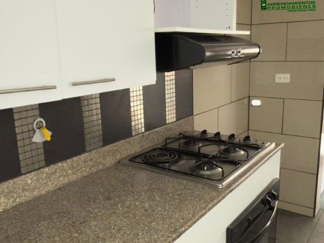 Apartamento En Arriendo En Medellin En La Castellana A358297