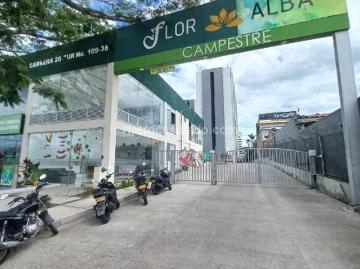 Apartamento en Arriendo, Flor Alba Campestre Piso 9, Ibagué