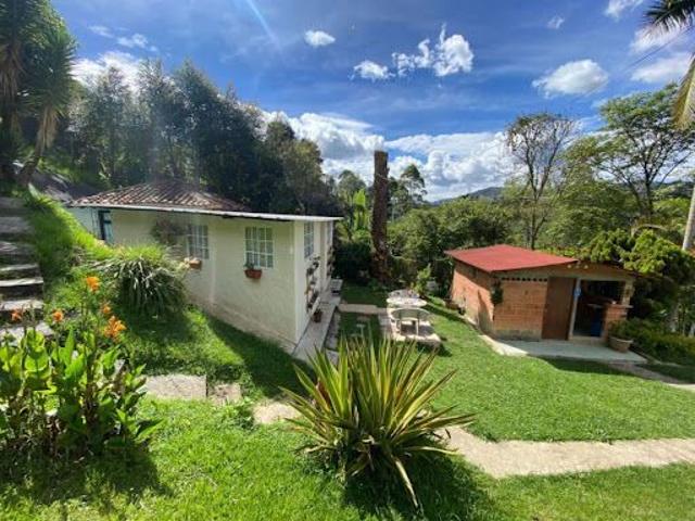 Apartamento en arriendo, Hojas anchas