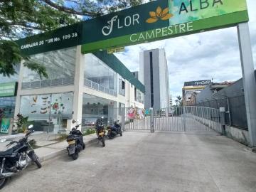 Apartamento en arriendo Loteo San Francisco aparco, Ibague