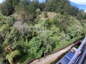 Apartamento en Arriendo, San Antonio, Rionegro
